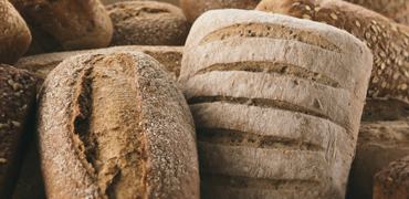 Bread